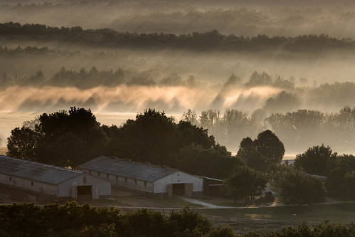 bakollny goldenhour napkelte landscape köd mist fog farm sunrise városlőd veszprém hungary hu