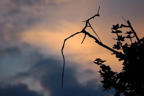 Holbrook Branch Sunset Silhouette | Ashley Cote | Flickr