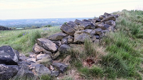 ashoverrock ambervalley peakdistrict derbyshire outdoor outdoors outside landscape landscapephotography countryside sonyhx100v naturereserve perspective pointofview lowpov pov depthoffield dof littlemoor ashover chesterfield thefabric