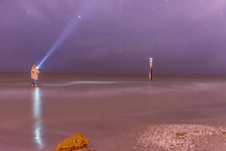 Star Gazing in the Gulf of Mexico