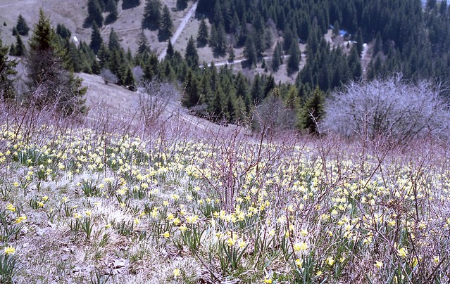 Haute Savoie, avril 2018