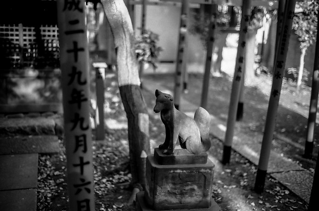 Mimeguri Shrine Inari (Analog)