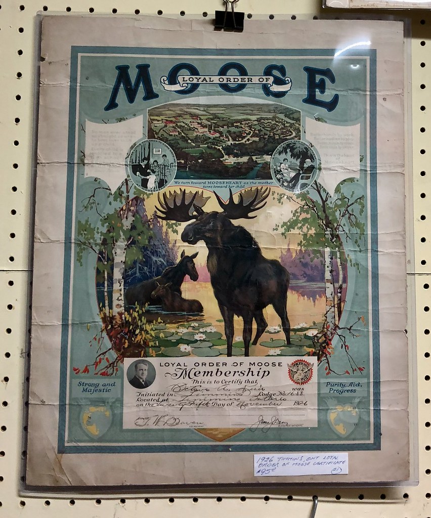 1926 Loyal Order of Moose Membership Lodge No. 1658 member… - Flickr