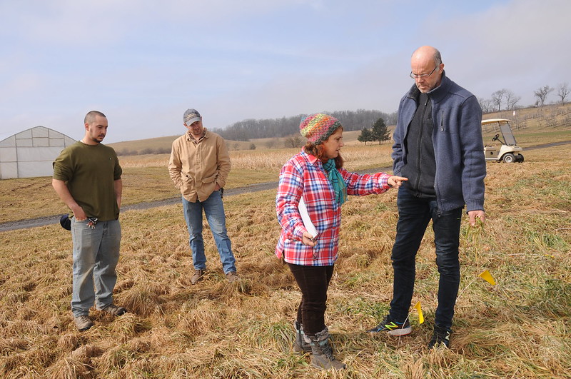 Gladys explaining in the experimental plots at Rodale