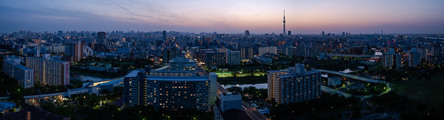 Tokyo twilight panorama