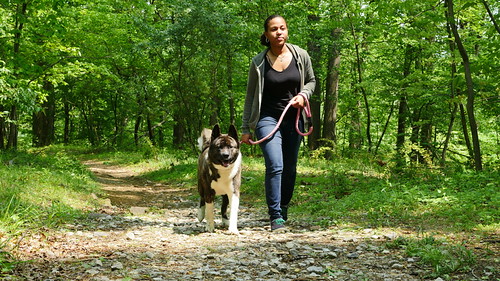 Woman walking with a dog on a forest trail