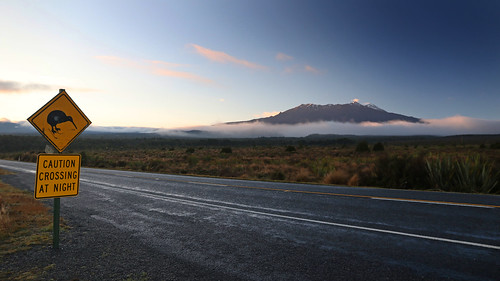 landscape tongarironationalpark mountain volcano manawatuwanganui sunrise sign road kiwicrossing sh47 mtruapehu