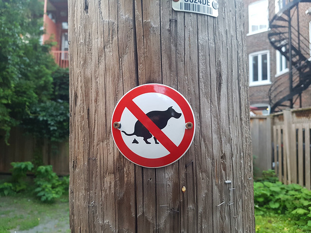 No Dogs :(