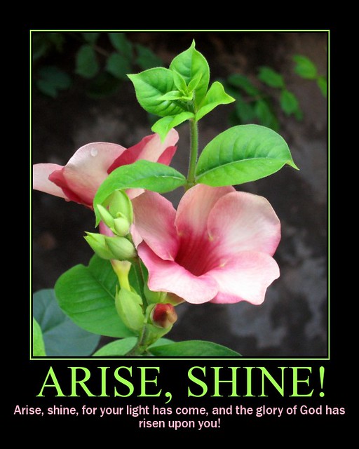 Arise, Shine!