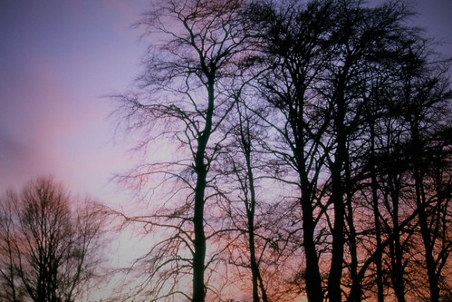 sunset by lesleydoubleday, asfordby sunset leicestershire trees