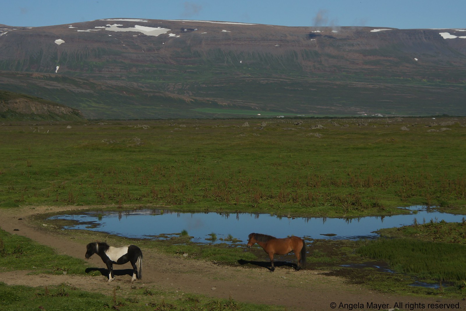 Icelandic Scenery