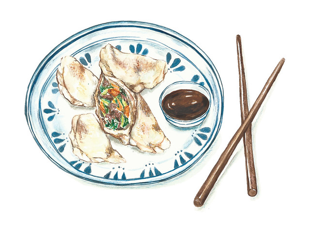 Dumplings - food illustration