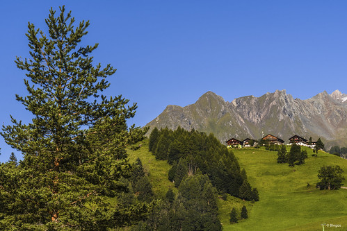 2017 bingoschwanitz bingos d500 ingoschwanitz nationalpark nationalparkhohetauern nikkor nikon nikonafs16801284eed nikond500 osttirol outdoor virgen virgental prägraten österreich austria