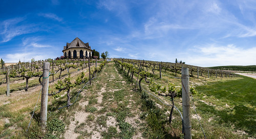 winery idaho stechapelle stechapellewinery boise travel wine vineyard landscape blueskies sonya7iii panoramic pov