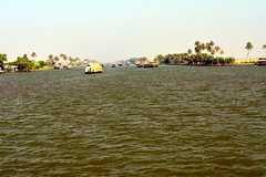 Alleppey: The Great Backwaters