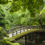 Kyoto green - 3