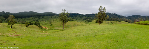 kodaikanal tamilnadu india in green greenery greencover greenforest valley nature travel torist spot tourism vacation summerholidays lawn meddows indiatravel indiatourism indianphoto canon panorama panoramicview scenary scenicsnotjustlandscapes