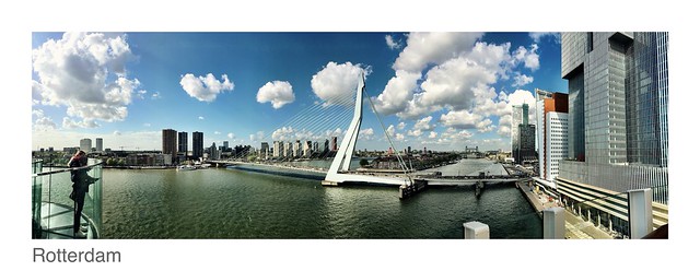 Rotterdam - Erasmusbrücke - AIDAperla