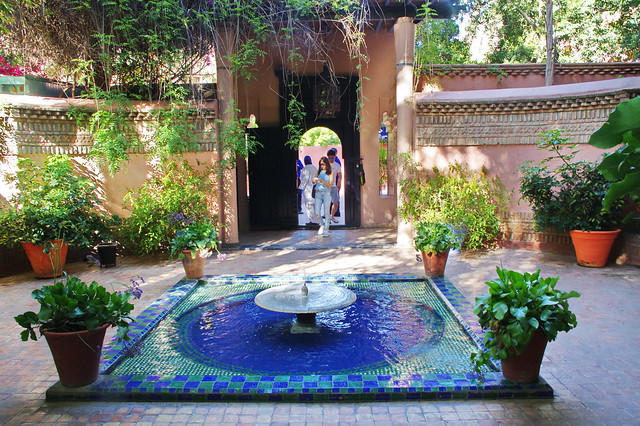 Maroc - Marrakech - Jardin Majorelle - IMGP0010