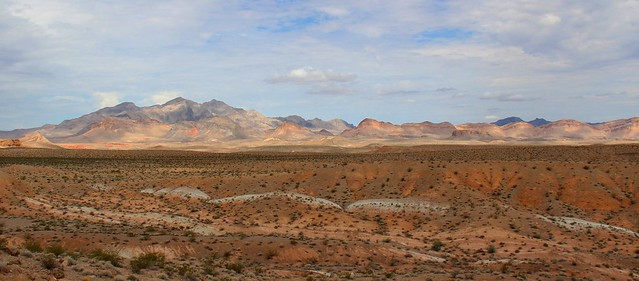 Colors of Nevada Landscape