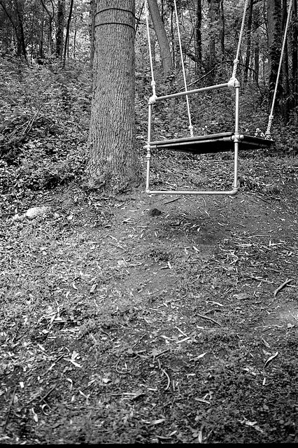 swing, hillside, forest, Community Park at Craggy Park, Asheville, NC, Kodak VR35 K12, Kodak TMAX 400, Ilford Ilfosol 3 developer, 5.15.18