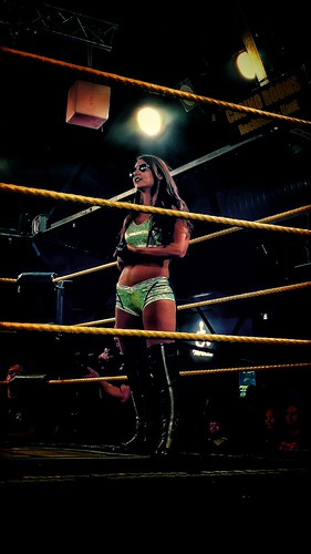 IPW:UK - International Battle Royale 2018 | by Haskett1988