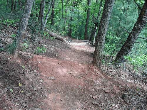 trails bikes singletrack
