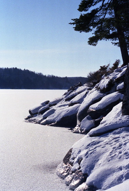 Shoreline view: winter 1987