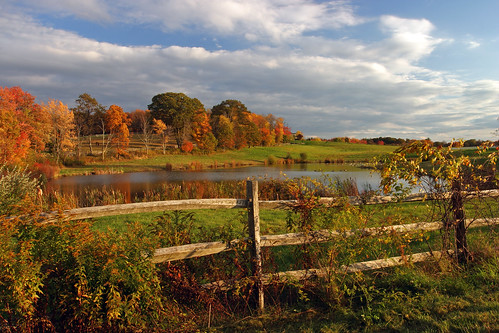fall fence landscape farm