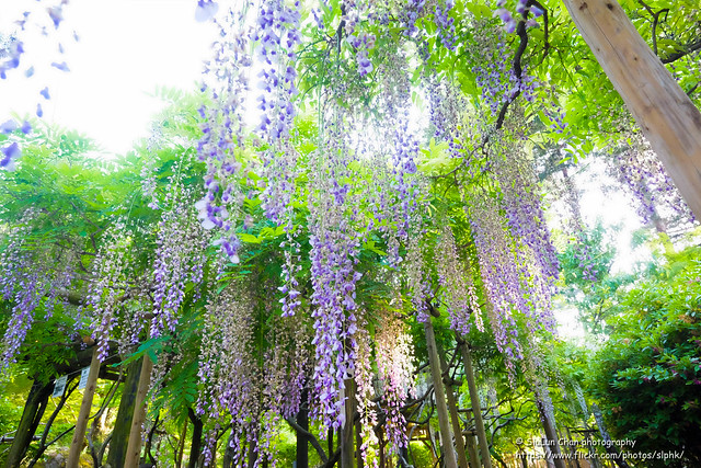 Manyo Botanical Gardens