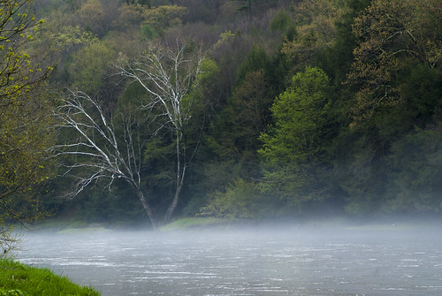 sepan pa pennsylvania clarion clarionriver river nikon d200 fog cookforest park statepark