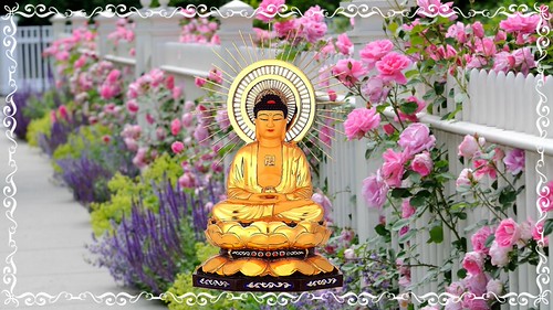 vacker buddha senaste gratis nedladdning | by hoangduongphatphap
