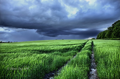 vincent clouds coey photography field storm thunderstorm tracks trees sky landscape carlow