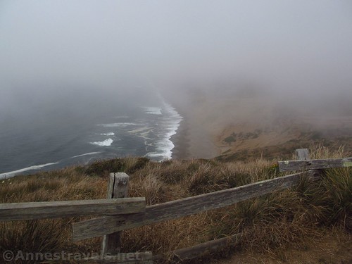 Misty views along the Chimney Rock Trail, Point Reyes National Seashore, California