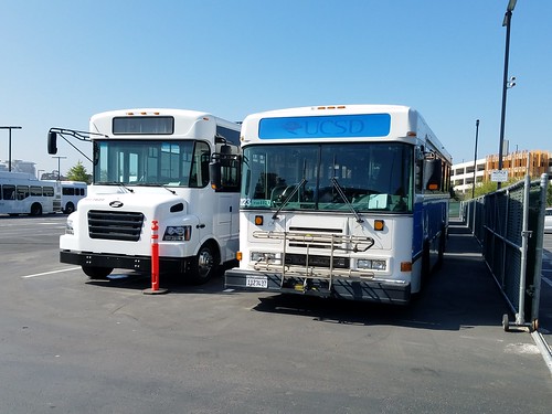 UC San Diego Buses - Blue Bird on right