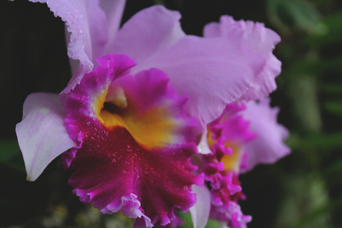 Duke Farms 10 | by karalynnschaefer