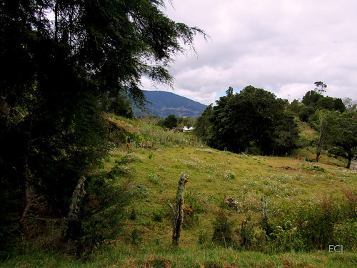 poste naturaleza vegetación campo rural caminata potrero montañas árboles bosque hierba cercado cielo nubes