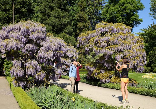 Lente @Kruidtuin Leuven