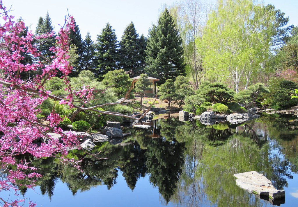 Spring in the Japanese Garden