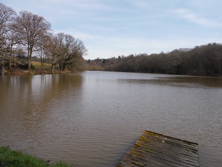 Largest in Chain of Fishing Ponds north of Horsted Keynes SWC Walk 27 - East Grinstead to Wivelsfield or Sheffield Park