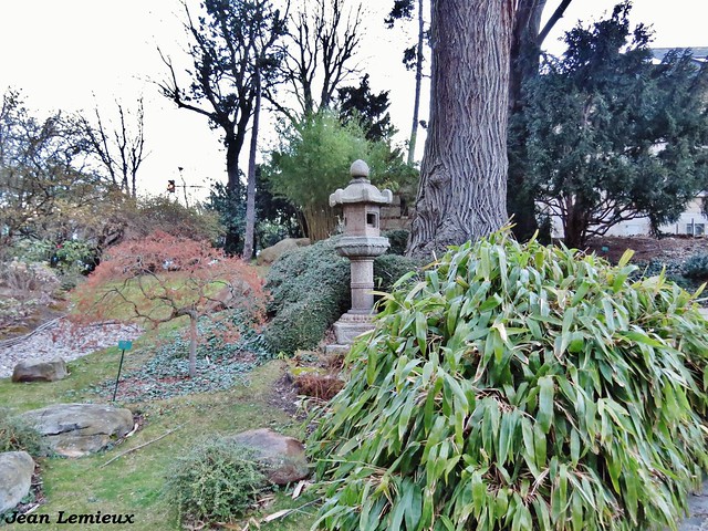Jardin des serres d'Auteuil - Jardin à la japonaise