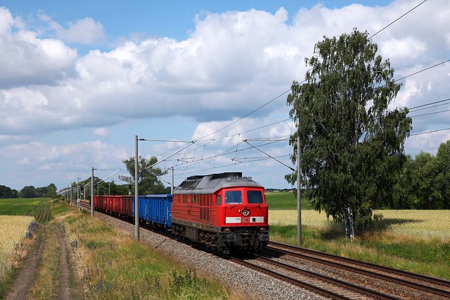 DB 233 314 + Güterzug/goederentrein/freight train  - Jeserich