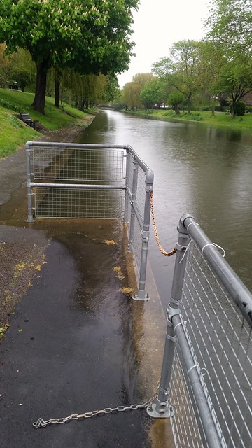 Royal Military Canal starting to overflow... a day of rain and it's up about 25cms since Saturday.