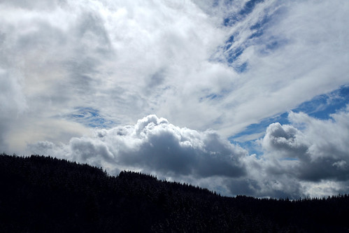 sapins arbres silhouettes colline paysage forez boisnoirs auvergne massifcentral ciel blue bleu sky clouds nuages trees firs