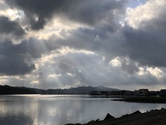 Good morning #flickr ? Switching myself back to you now in this new dawn, rebirth from darker times. Photo from my morning ?‍♂️ along Mill Valley–Sausalito path.