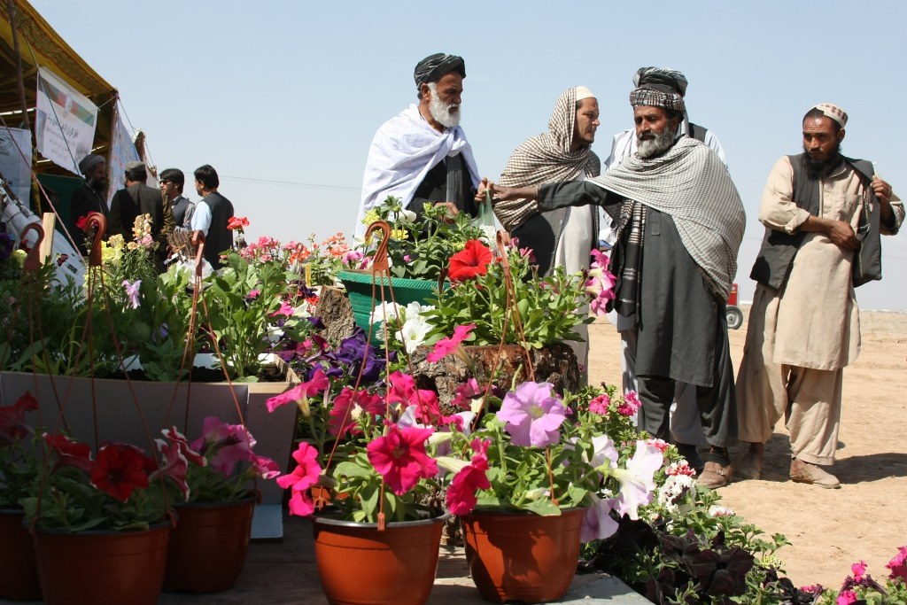 Agriculture Fair, Kandahar.