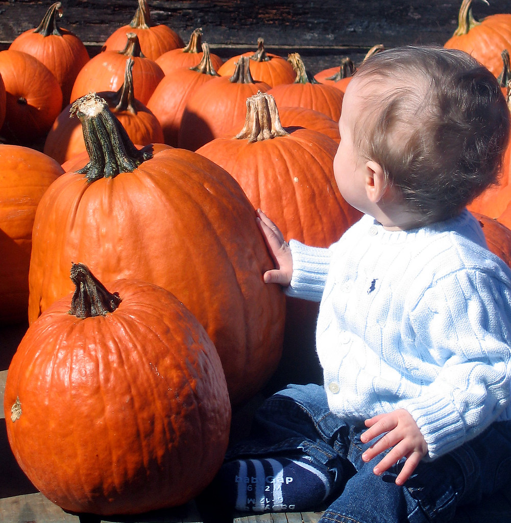 Stribling Orchard