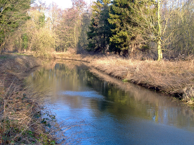River Lark Ouze Plantation at Hengrave