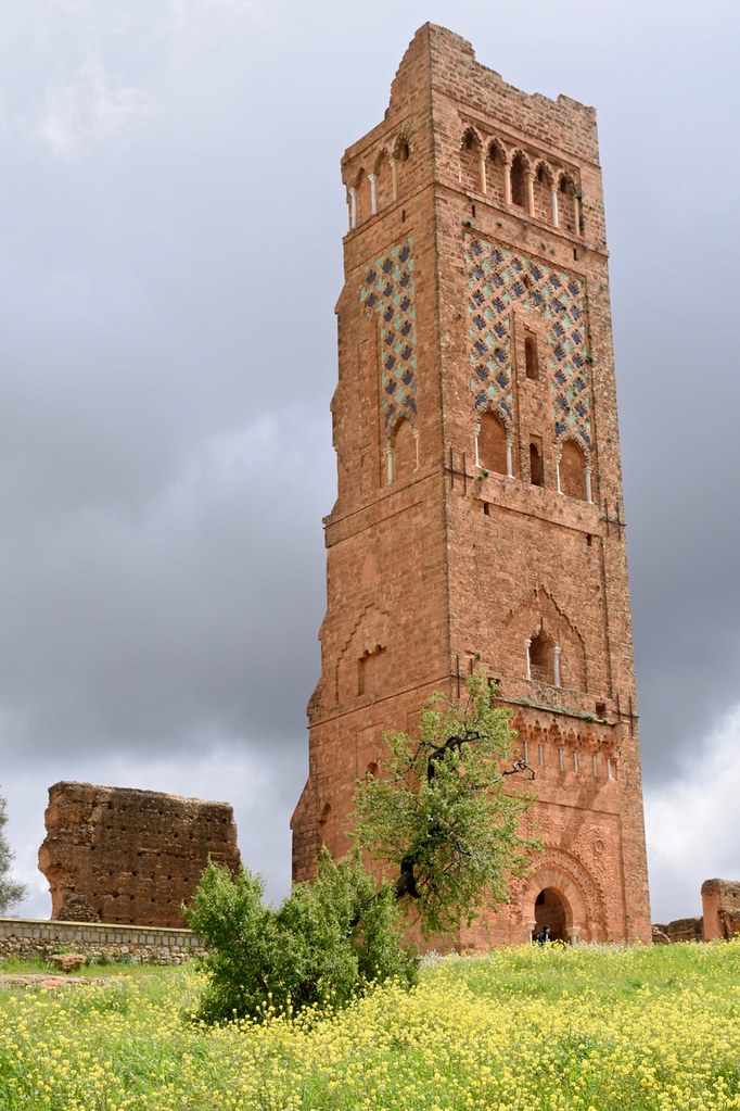 Tlemcen - Mansourah | This minaret, built around 1300, is mo… | Flickr