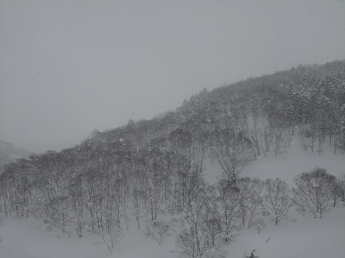 niseko japan ニセコ町 日本 weiss powdercats ski snowboard 滑雪 滑板